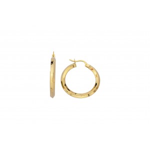 Gold Earrings 10kt, VI40-2